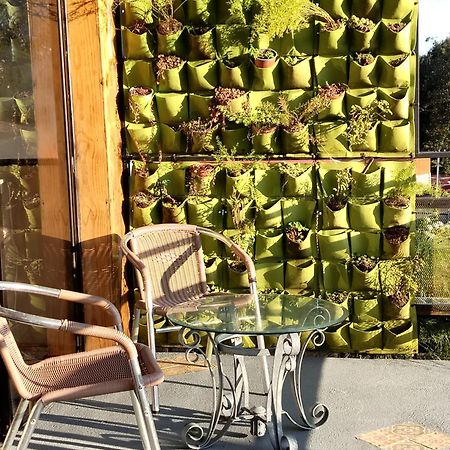 Preciosa Cabana En Fraijanes Екстериор снимка